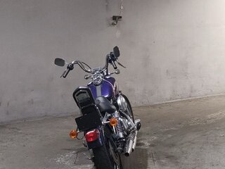 1999 Harley-Davidson Dyna Low Rider, синий, 714000 рублей, вид 4