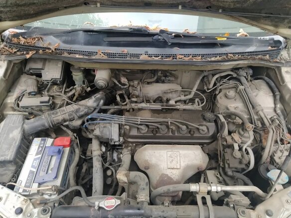 1999 Honda Odyssey I, серый, 350000 рублей - вид 7