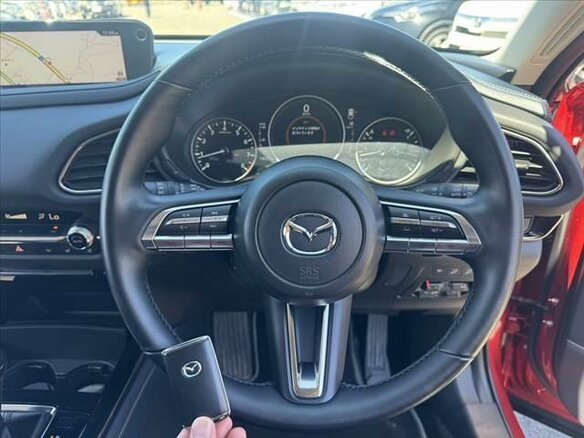2022 Mazda CX-30 I, красный - вид 15
