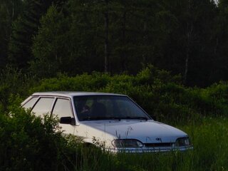 2007 Lada (ВАЗ) 2114, серый, 200000 рублей, вид 2