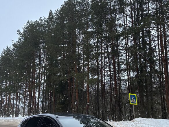 2011 Ford Focus III, чёрный, 535000 рублей - вид 1