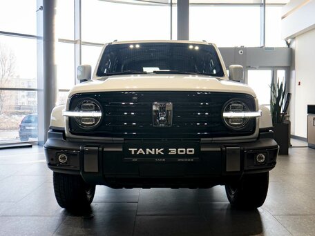 Tank 300 I