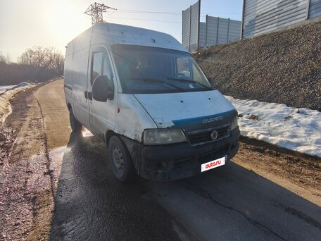 2009 Fiat Professional Ducato, белый, 350000 рублей, вид 2