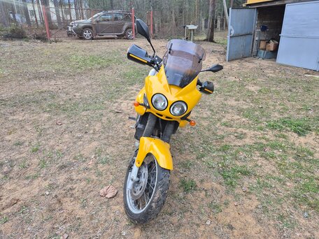 2000 Triumph Tiger 955i, жёлтый, 300000 рублей, вид 3