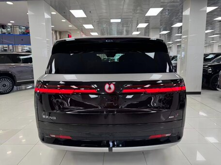 2025 Denza N9 46.9 kWh, фиолетовый, 8700000 рублей, вид 4
