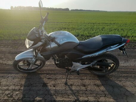 2014 Stels Flex 250, серебристый, 100000 рублей, вид 1