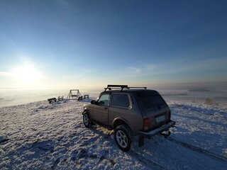 2018 Lada (ВАЗ) 2121 (4x4) I Рестайлинг, коричневый, 700000 рублей, вид 5