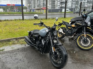 Timpton Bobber S