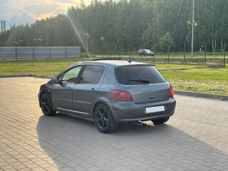 2005 Peugeot 307 I Рестайлинг, серый, 199000 рублей, вид 4