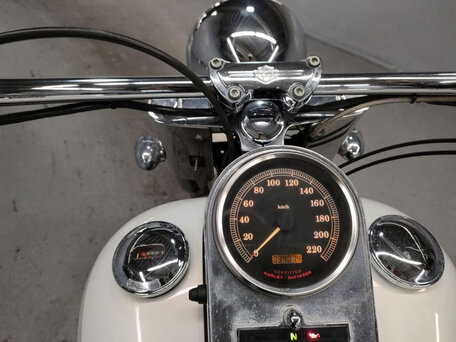 2000 Harley-Davidson Softail Custom, белый, 420000 рублей, вид 5