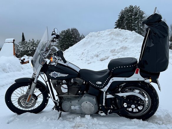 2001 Harley-Davidson Softail Standard, чёрный, 789000 рублей - вид 17