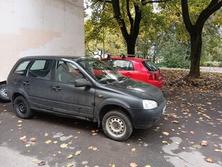 2009 Lada (ВАЗ) Kalina I, чёрный, 95000 рублей, вид 3