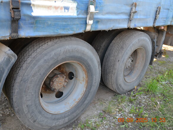 1999 Freightliner Century Class, синий, 2500000 рублей - вид 18
