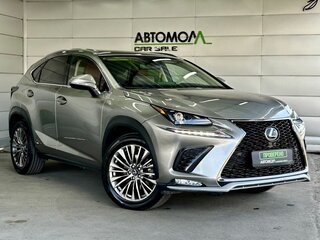 2021 Lexus NX 300 I Рестайлинг, серый, 3990000 рублей, вид 3