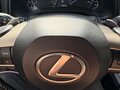 2019 Lexus RX 300 IV Рестайлинг, белый, 4700000 рублей - вид 8