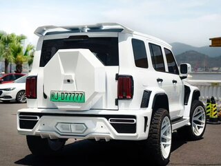 2025 Tank 300 I Рестайлинг, белый, 5300000 рублей, вид 3
