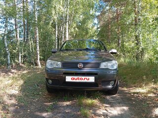 2008 Fiat Albea I Рестайлинг, серый, 520000 рублей, вид 5