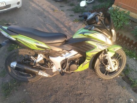 2013 Racer Lupus, зелёный, 45000 рублей, вид 3
