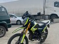 2025 Motoland Enduro 300, зелёный, 150000 рублей - вид 2