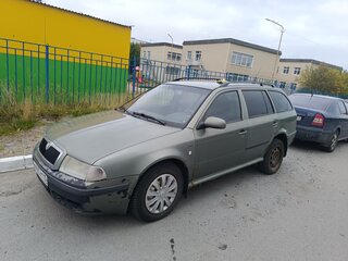 2001 Skoda Octavia I (A4) Рестайлинг, серый, 250000 рублей, вид 1
