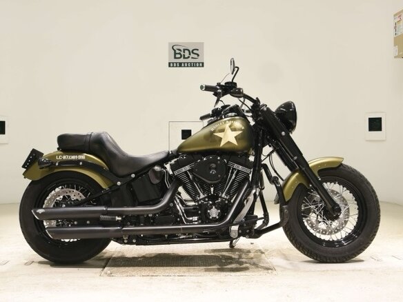 2016 Harley-Davidson Softail Slim, зелёный, 1160000 рублей - вид 1
