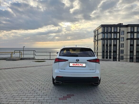 2018 Lexus NX 300 I Рестайлинг, белый, 3999999 рублей - вид 6