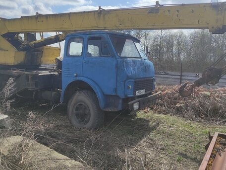 1989 МАЗ Автокраны, голубой, 445000 рублей, вид 2
