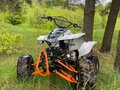 2025 ABM Scorpion 150, серый, 98000 рублей - вид 3