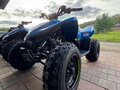 2026 CFMoto CFORCE 110, синий, 205000 рублей - вид 3