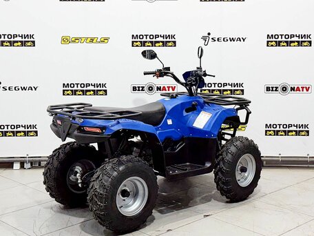 2026 Irbis ATV 200U, синий, 249000 рублей, вид 5