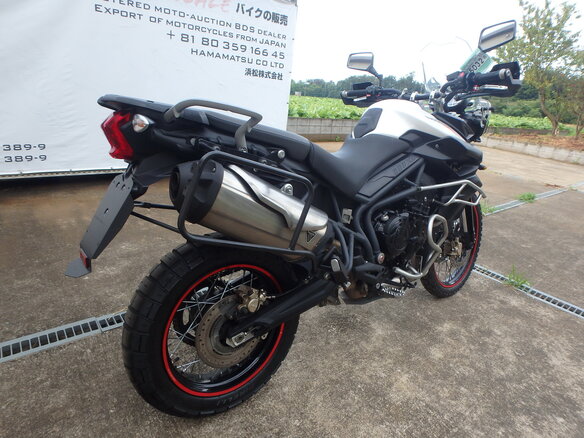 2013 Triumph Tiger 800, белый, 700000 рублей - вид 5