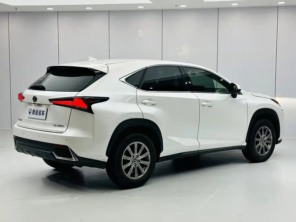 2020 Lexus NX 200 I Рестайлинг, белый, 2755000 рублей - вид 3