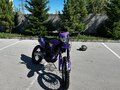 2025 Progasi Hardcore 450, фиолетовый, 225000 рублей - вид 2