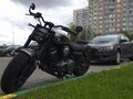 2025 Benda Chinchilla 500, серый, 575000 рублей