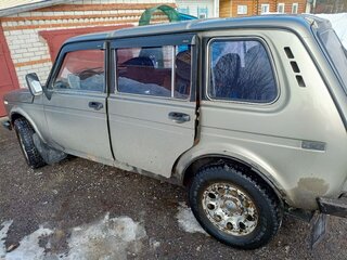 2002 Lada (ВАЗ) 2131 (4x4) 213105 I, серебристый, 280000 рублей, вид 3