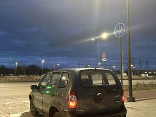 2010 Chevrolet Niva I Рестайлинг, серый, 360000 рублей, вид 5
