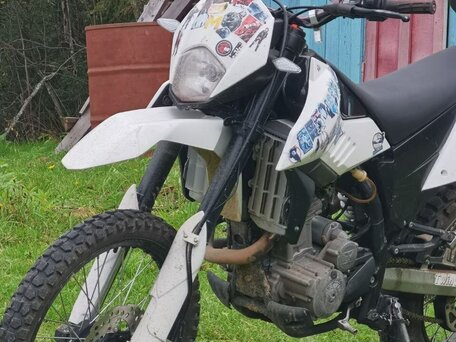 2020 Avantis Dakar 250, белый, 150000 рублей, вид 1