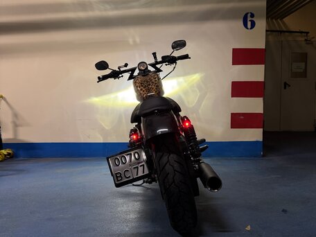 2019 Harley-Davidson Sportster 883, коричневый, 900000 рублей, вид 3