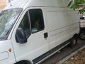 2008 Fiat Professional Ducato, белый, 380000 рублей - вид 3