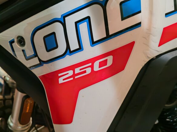 2026 Loncin DS250, белый - вид 13