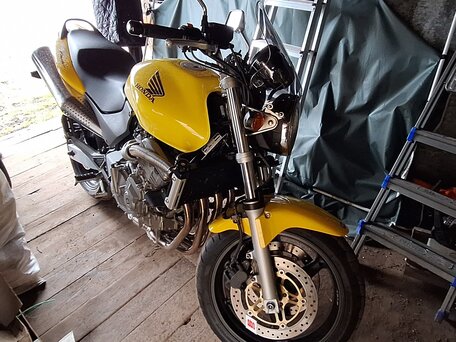 2003 Honda CB 600F Hornet, жёлтый, 350000 рублей, вид 4