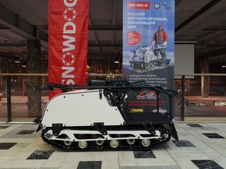 2024 Baltmotors Snowdog Sport, белый, 170000 рублей, вид 2