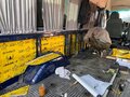2007 Ford Transit, синий, 1150000 рублей - вид 5