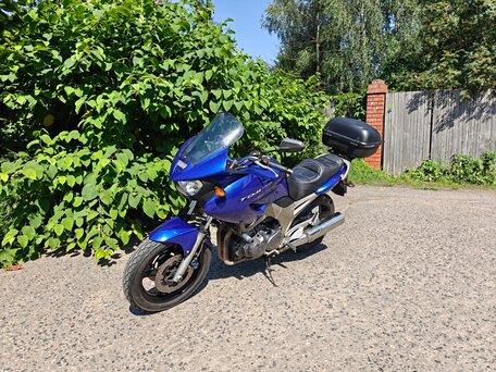 2002 Yamaha TDM900, синий, 380000 рублей, вид 1