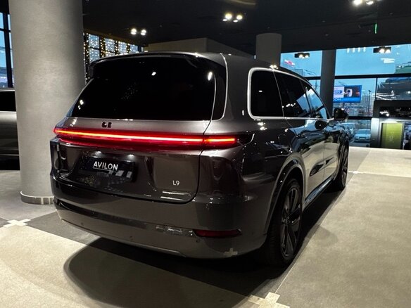 2023 Li Auto (Lixiang) L9 44.5 kWh I, серый, 6790000 рублей - вид 8