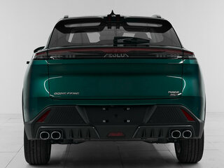 2024 Dongfeng Mage, зелёный, 2850000 рублей, вид 5