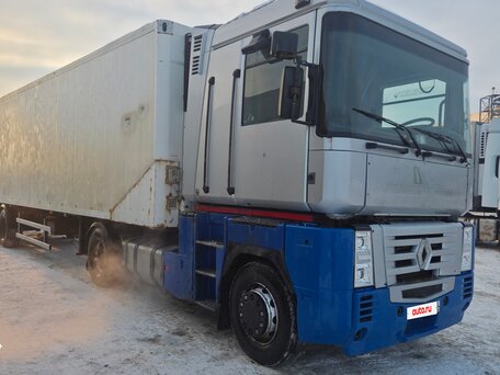 2002 Renault Magnum, серебристый, 1550000 рублей, вид 4