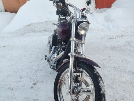 2001 Harley-Davidson Dyna Low Rider, пурпурный, 920000 рублей, вид 2