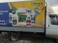 2009 ГАЗ ГАЗель (3302), белый, 750000 рублей - вид 1
