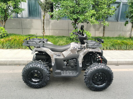 2025 Motax Grizlik 200, чёрный, 206700 рублей, вид 2